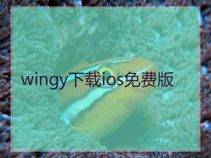 wingy下载ios免费版