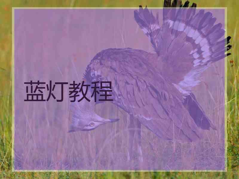 蓝灯教程