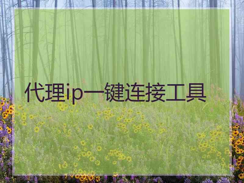 代理ip一键连接工具
