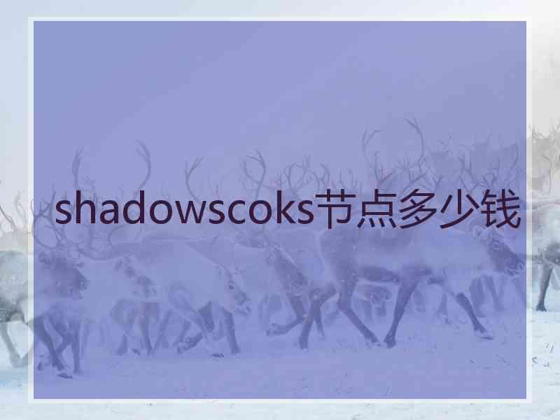 shadowscoks节点多少钱