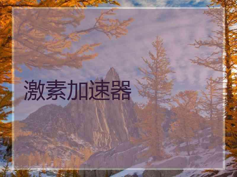 激素加速器