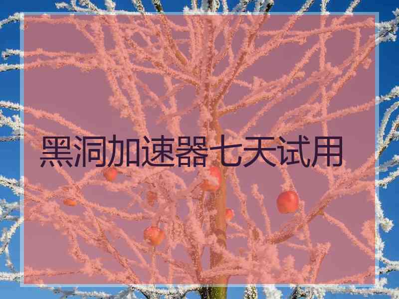 黑洞加速器七天试用