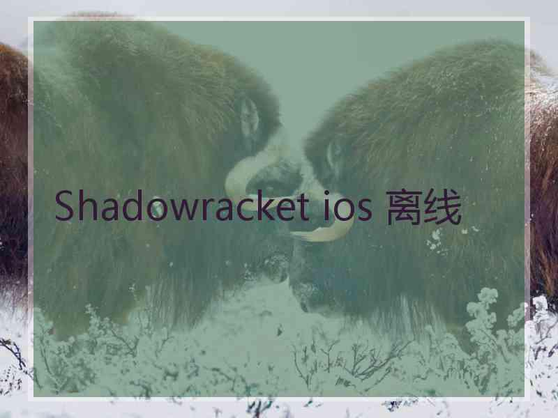 Shadowracket ios 离线