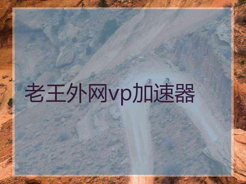 老王外网vp加速器