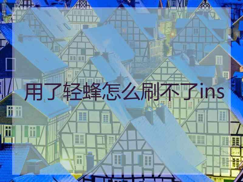 用了轻蜂怎么刷不了ins