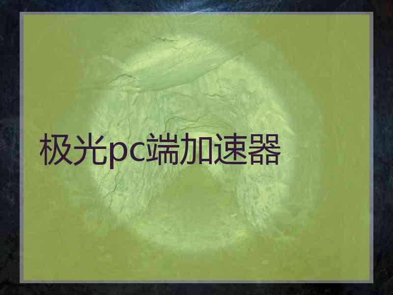 极光pc端加速器