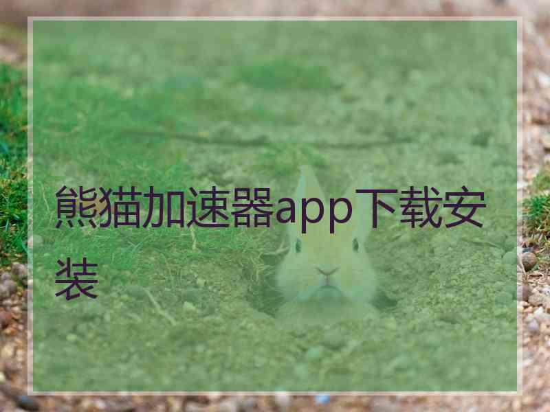 熊猫加速器app下载安装