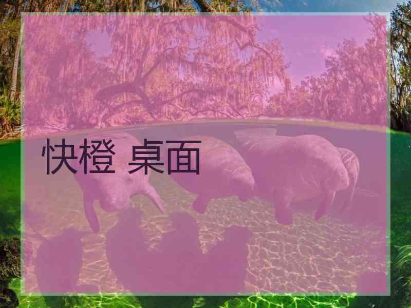快橙 桌面