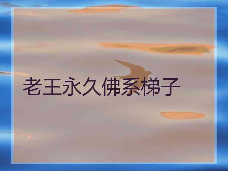 老王永久佛系梯子