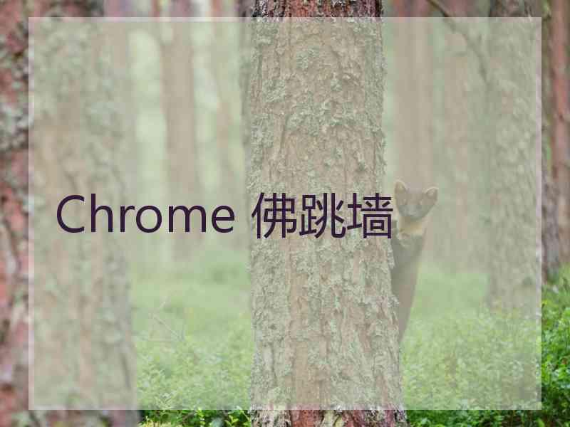 Chrome 佛跳墙