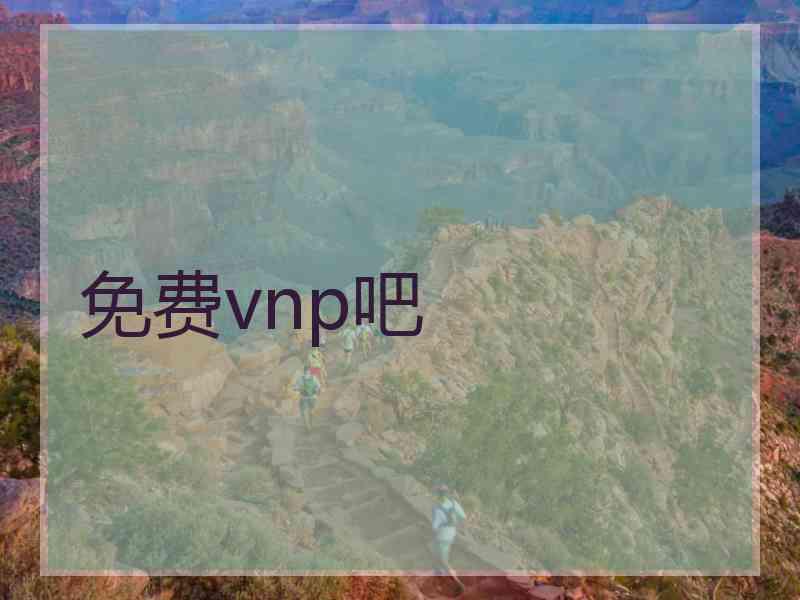 免费vnp吧