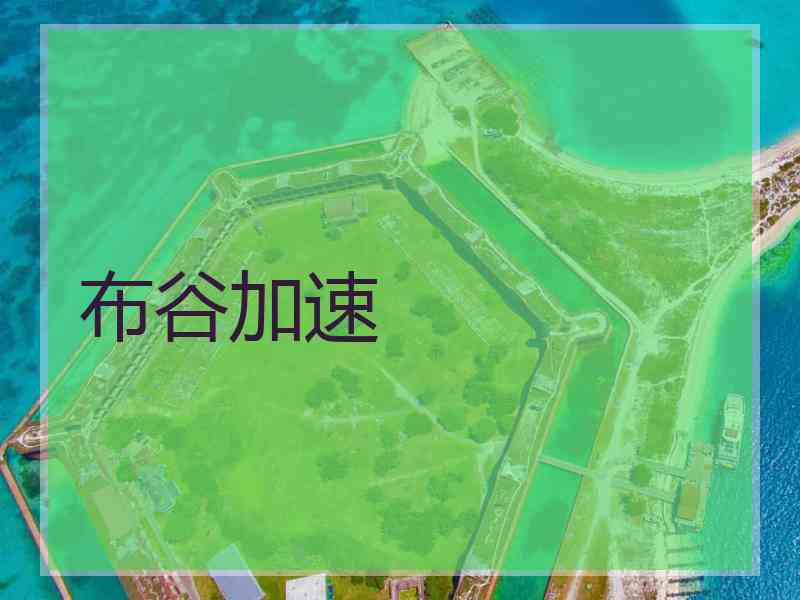 布谷加速