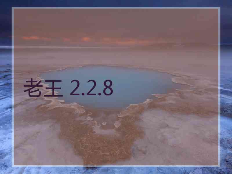 老王 2.2.8