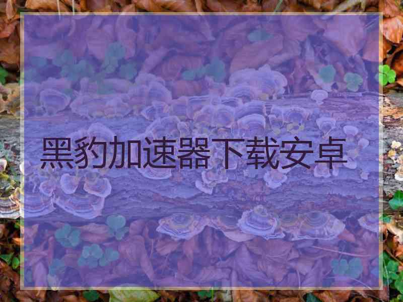 黑豹加速器下载安卓