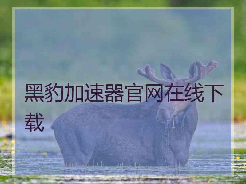 黑豹加速器官网在线下载