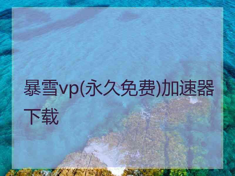 暴雪vp(永久免费)加速器下载