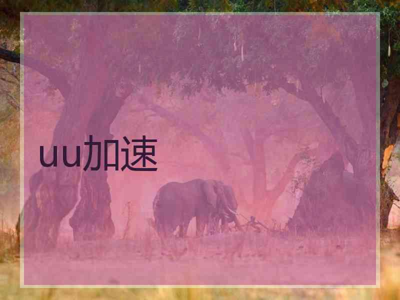 uu加速