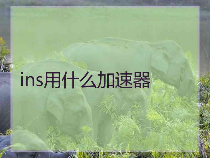 ins用什么加速器