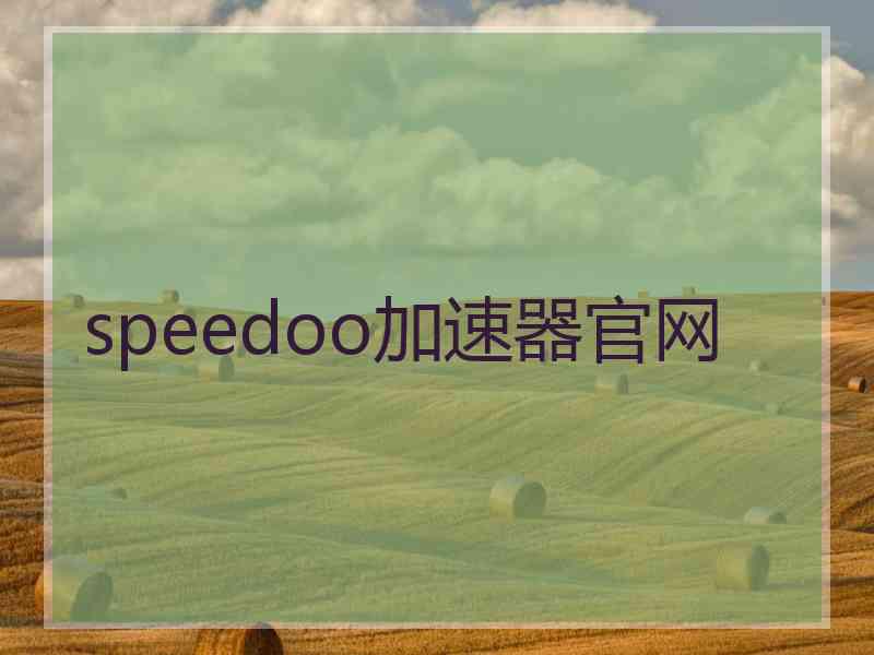 speedoo加速器官网