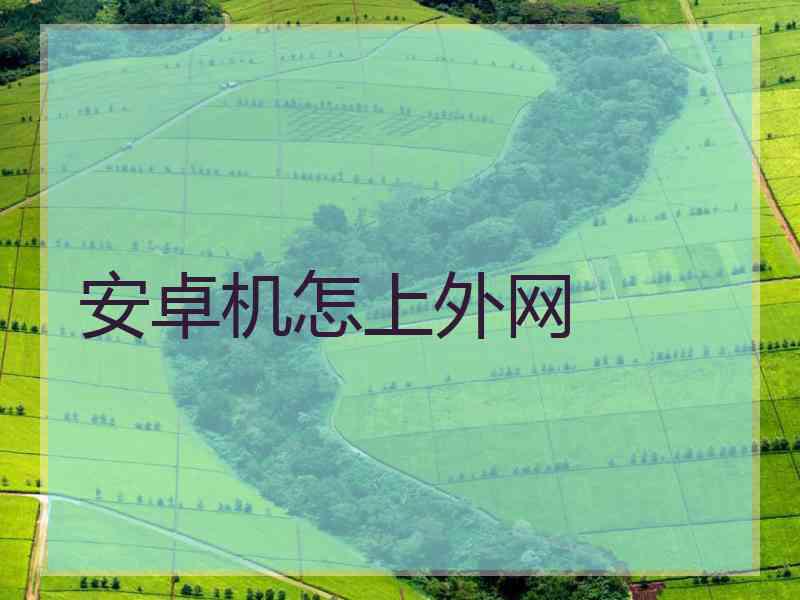 安卓机怎上外网