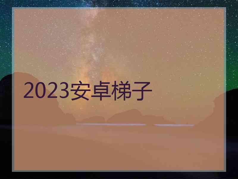 2023安卓梯子