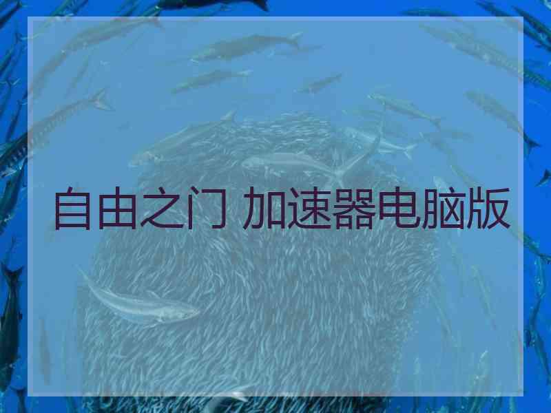自由之门 加速器电脑版