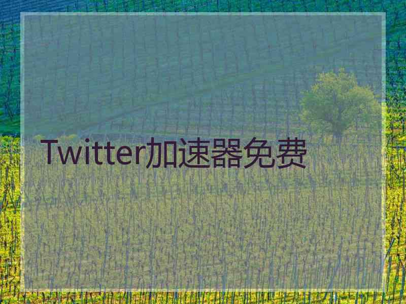 Twitter加速器免费