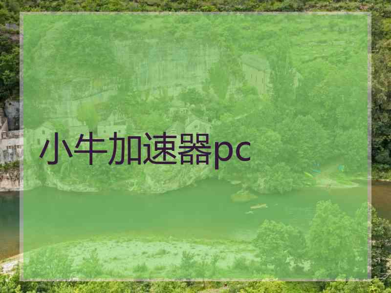 小牛加速器pc