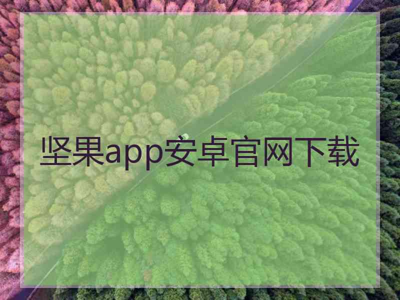 坚果app安卓官网下载