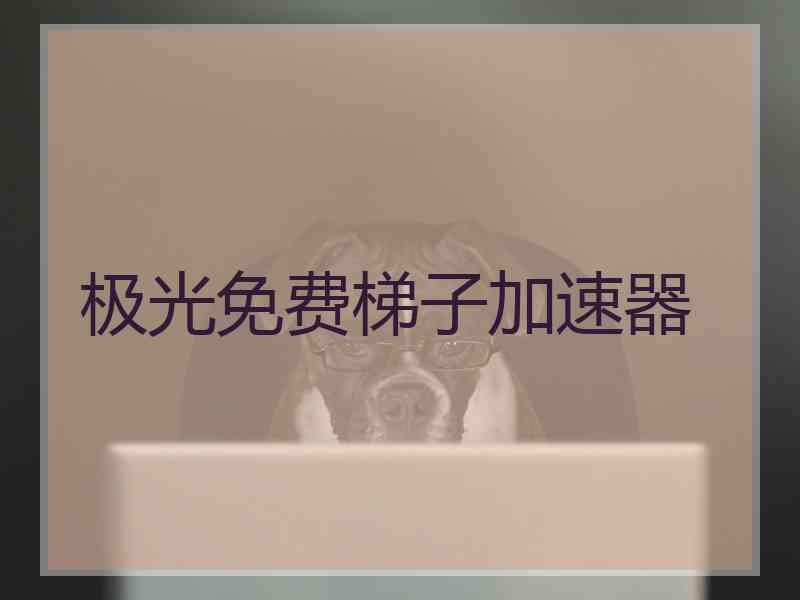 极光免费梯子加速器