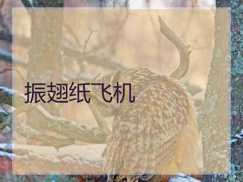 振翅纸飞机