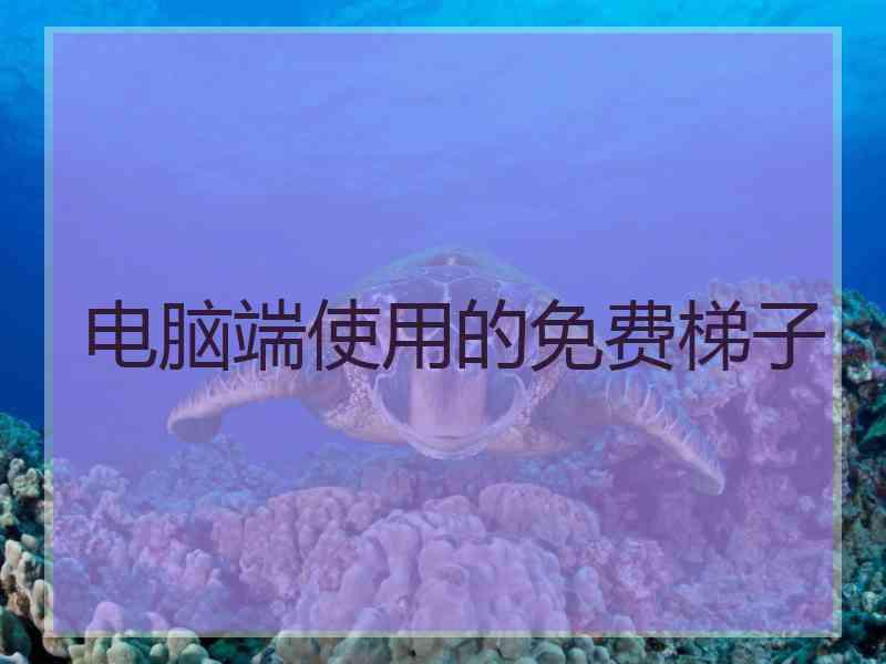 电脑端使用的免费梯子
