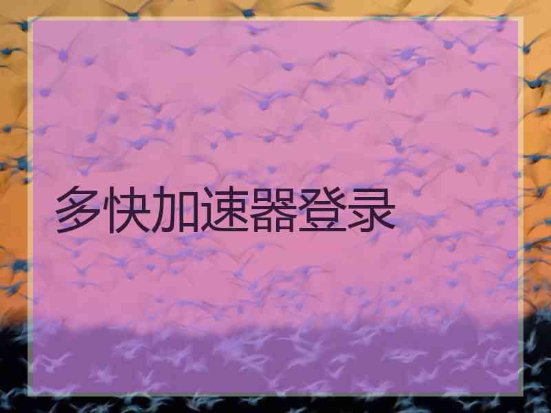 多快加速器登录