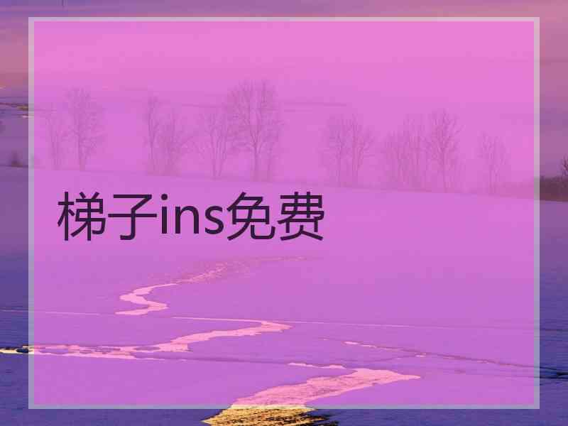 梯子ins免费