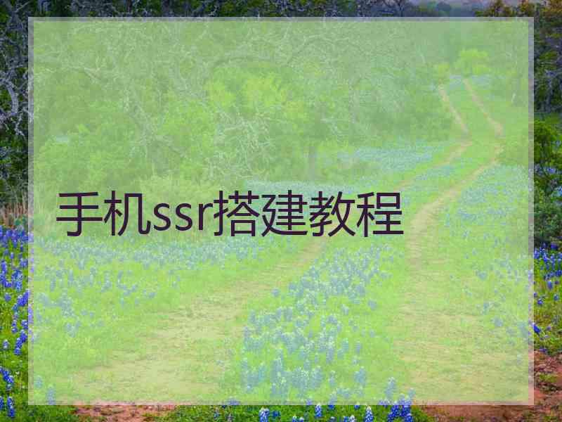 手机ssr搭建教程