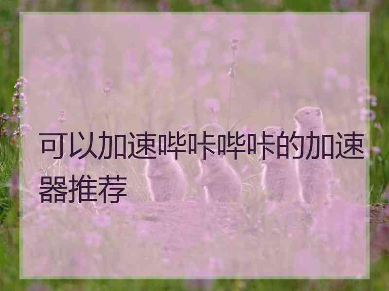 可以加速哔咔哔咔的加速器推荐
