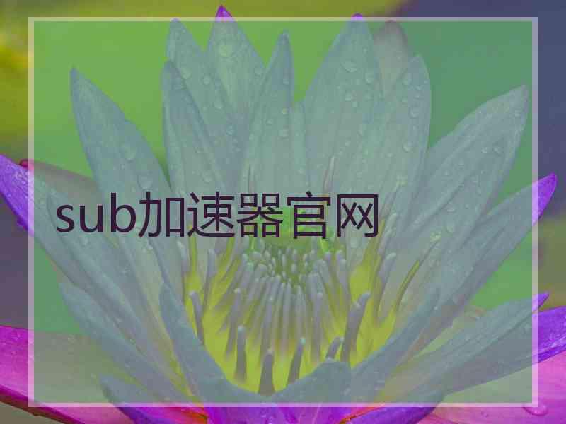 sub加速器官网