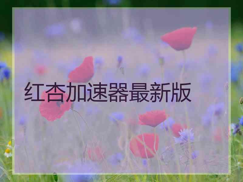 红杏加速器最新版