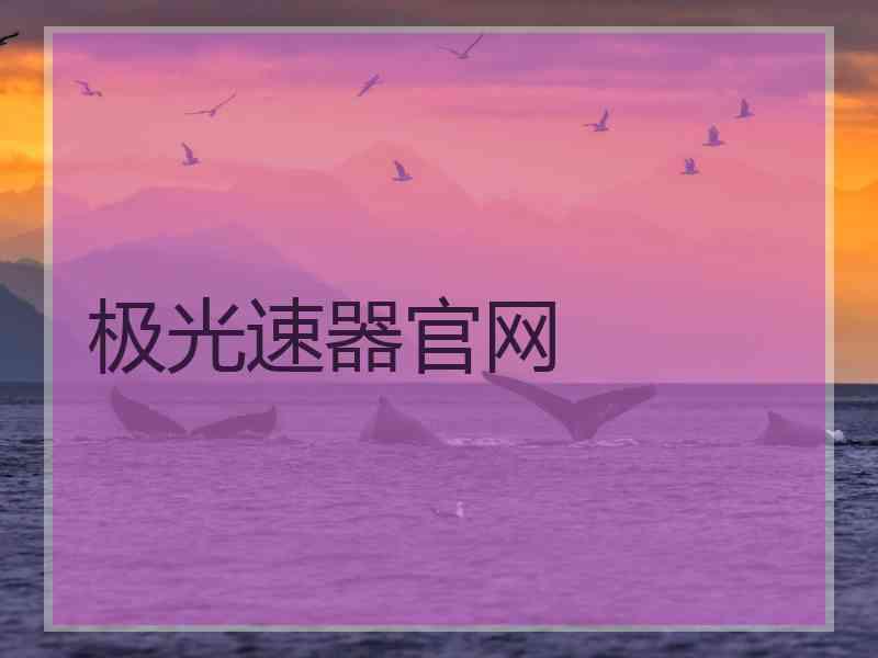 极光速器官网
