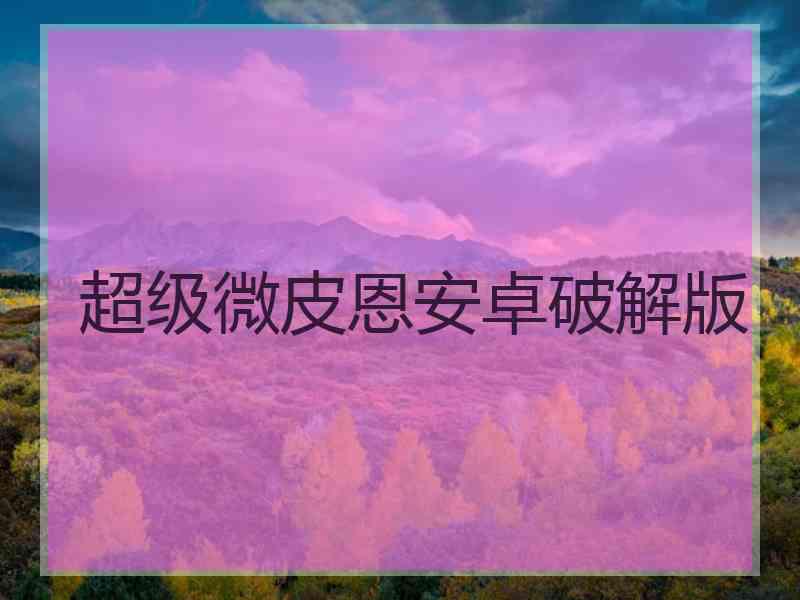 超级微皮恩安卓破解版