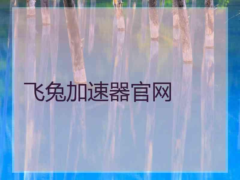 飞兔加速器官网