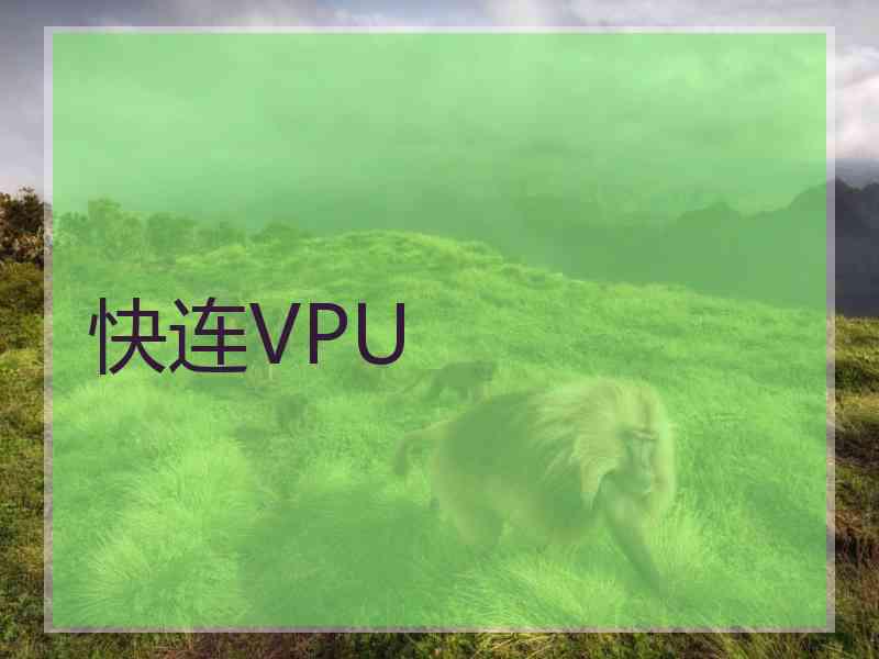 快连VPU