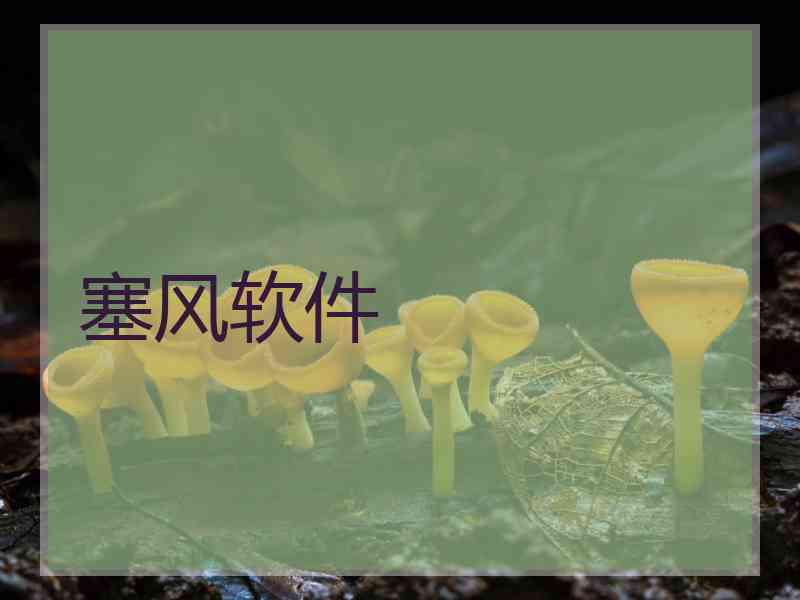 塞风软件