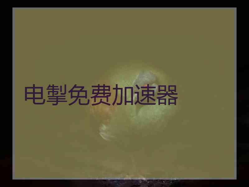 电掣免费加速器