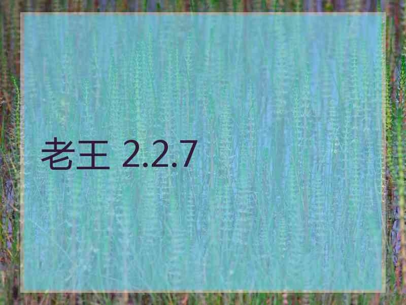 老王 2.2.7