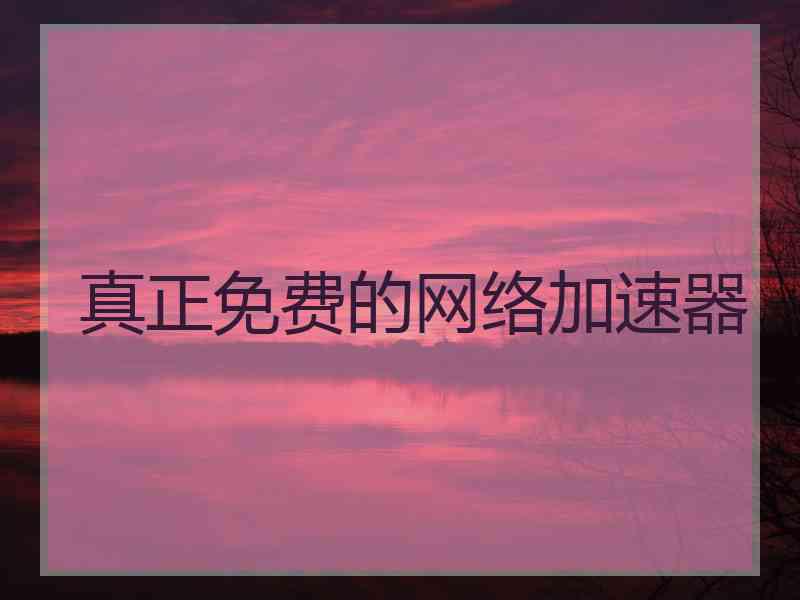 真正免费的网络加速器