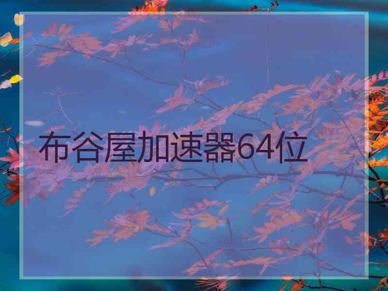 布谷屋加速器64位