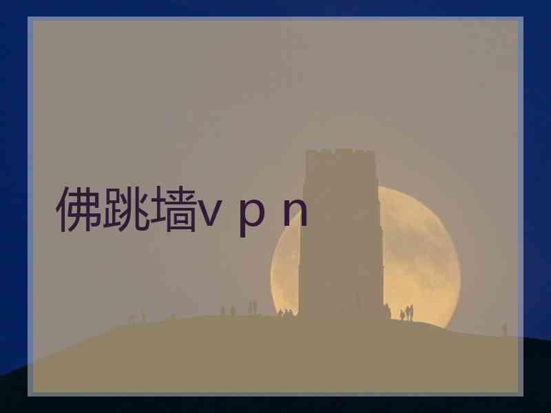 佛跳墙v p n
