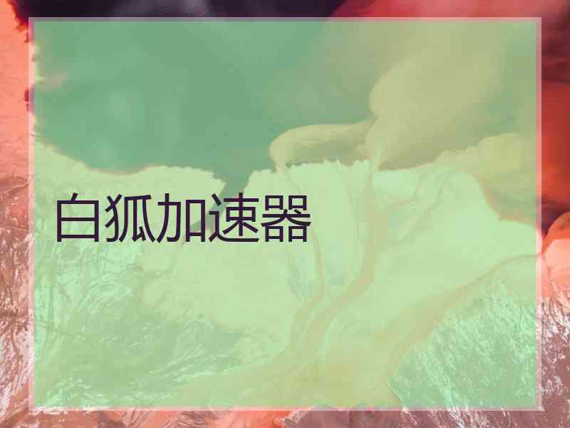 白狐加速器