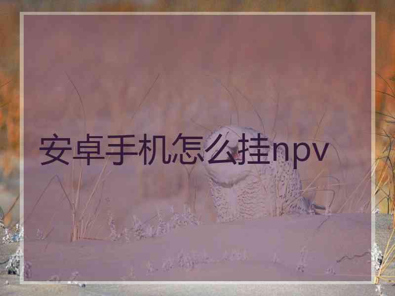 安卓手机怎么挂npv